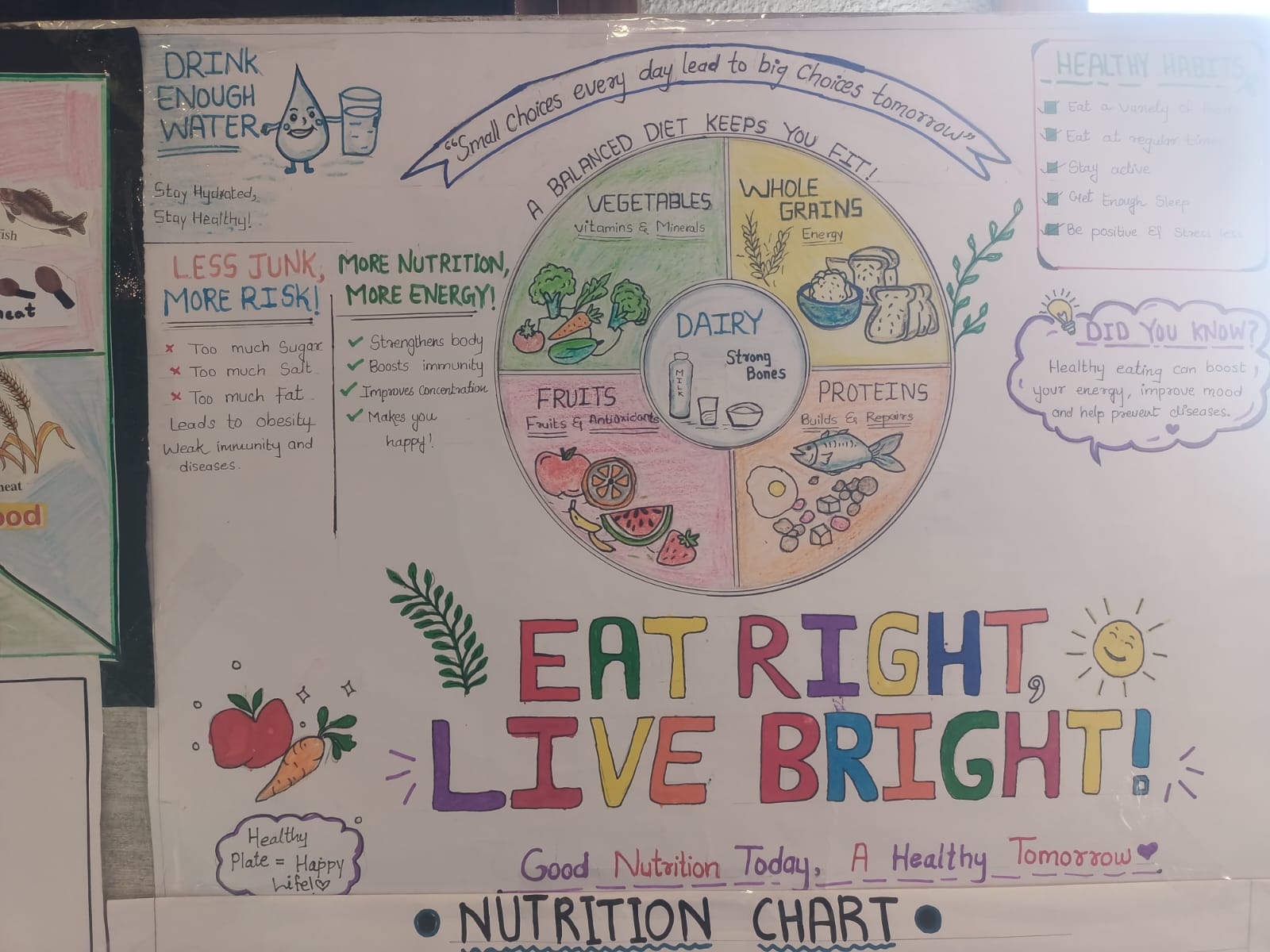 NUTRITION AND HEALTHY MEALS - Photo 78